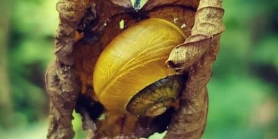 Problemer med troen på dig selv - Psykoterapeut Jimmy Viborg- psykoterapeut Jimmy Viborg Problemer med troen på dig selv - Psykoterapeut Jimmy Viborg- psykoterapeut Jimmy Viborg