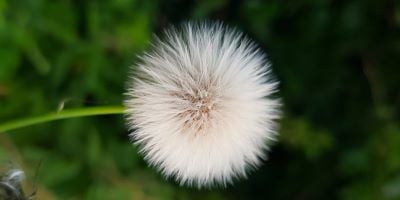 Angstproblemer - psykoterapeut Jimmy Viborg Angstproblemer - psykoterapeut Jimmy Viborg