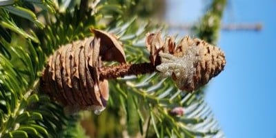 Kriserne midt i livet - psykoterapeut Jimmy Viborg Kriserne midt i livet - psykoterapeut Jimmy Viborg