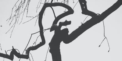 Ondt i kroppen - psykoterapeut Jimmy Viborg Ondt i kroppen - psykoterapeut Jimmy Viborg